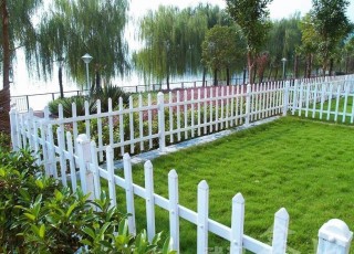 ��ƺ�Fˇ�o��