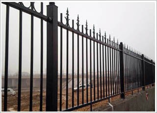 �T�F�o(h��)�ھW(w��ng)