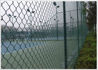 �w�������ھW(w��ng)