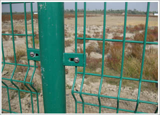 �p߅�z�o(h��)�ھW(w��ng)