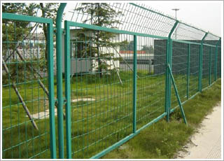 ����o�ھW(w��ng)